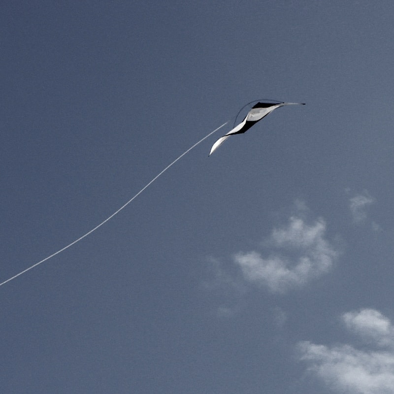 Loop with a single line lightwind kite.