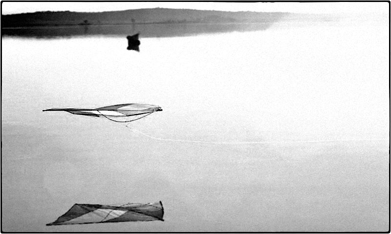 Kite over a small lake in Vitoria Gasteiz.