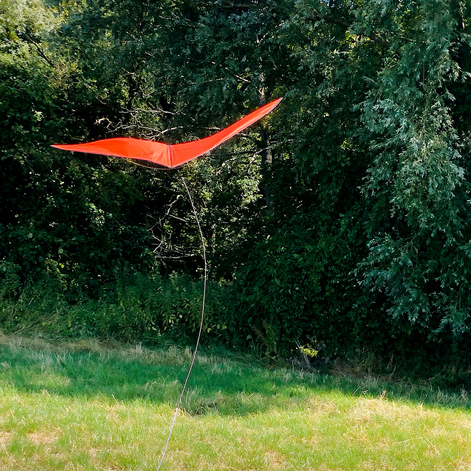Zero wind kite in front of a forest in the summer heat.