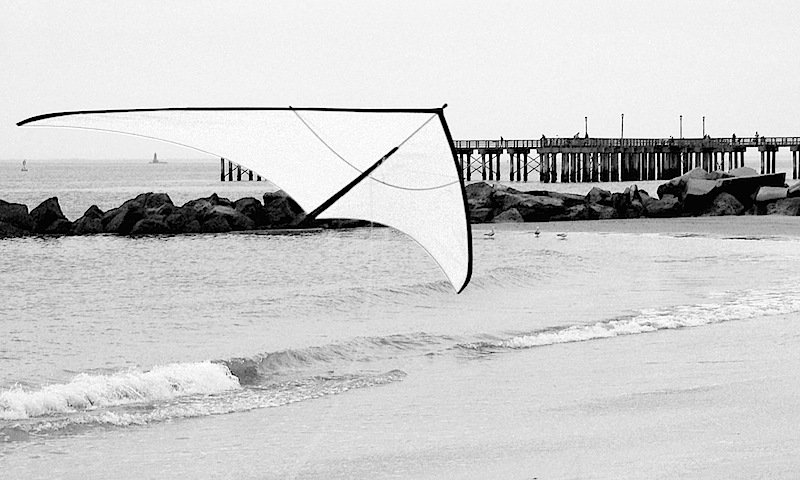 Kite above the shore in New York City.