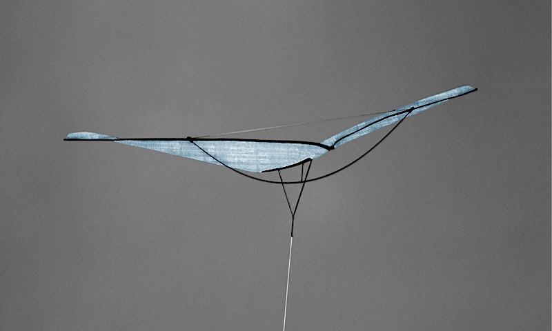 Urban rhythm edition: the kite in level flight, gliding.