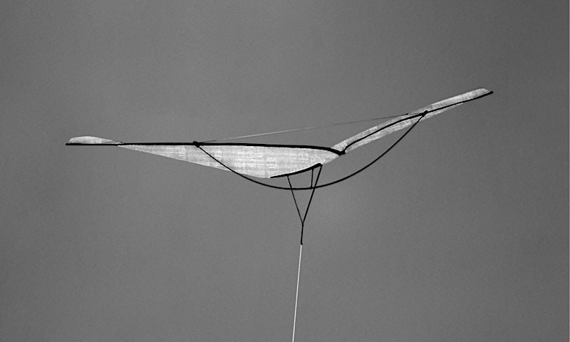 The kite in level flight, gliding.