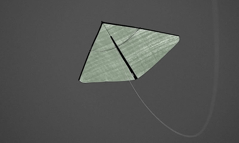 Green ultralight kite in front of dark sky.