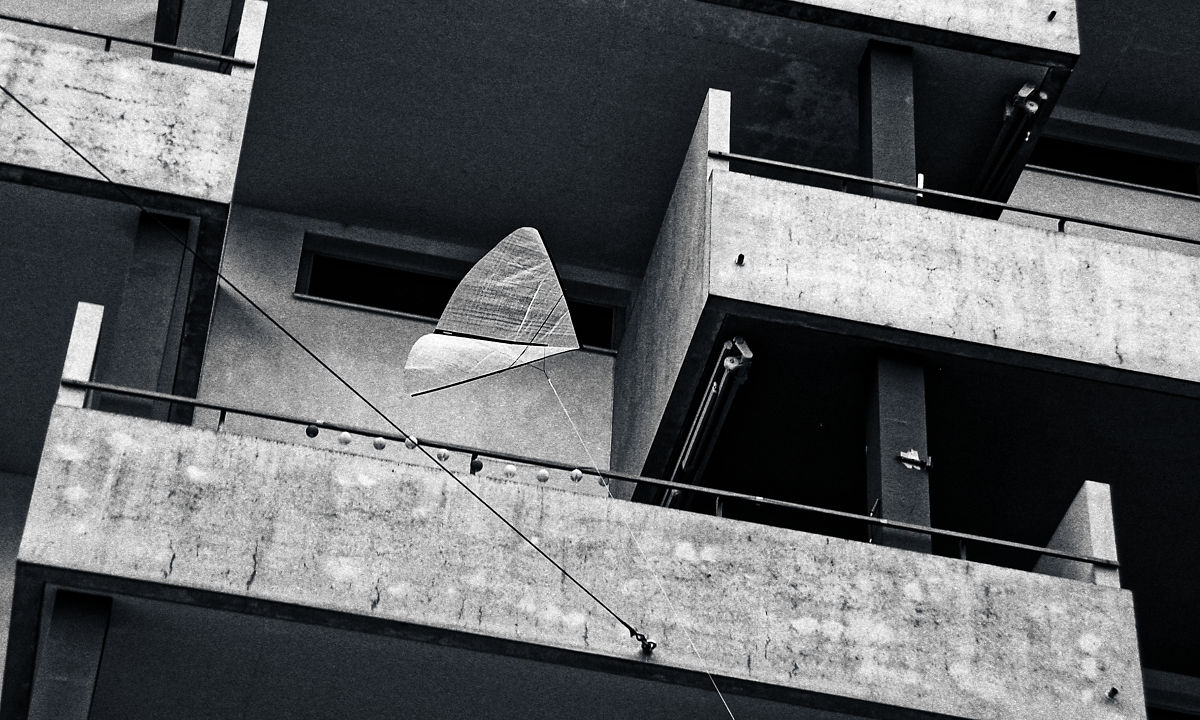 Kite in front of our atelier.