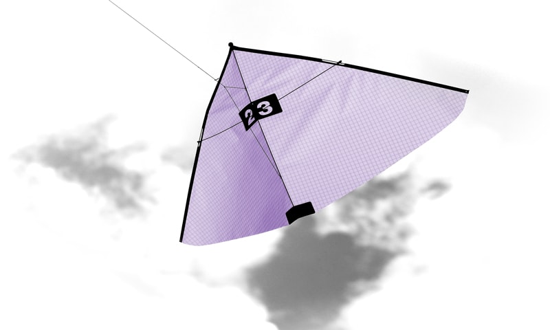 Kite in icarex grape special color.