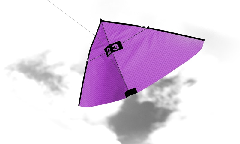 Kite in Icarex special magenta.