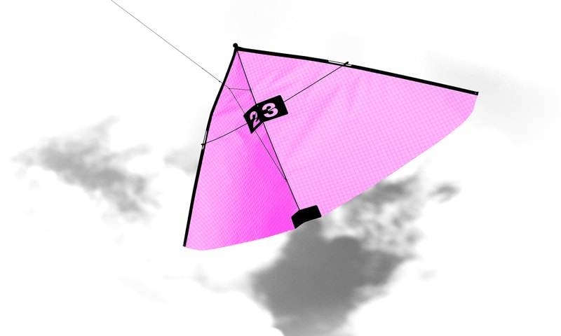 Kite in Icarex pink special-color.