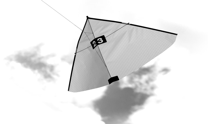 Kite in Icarex silver-gray-32.