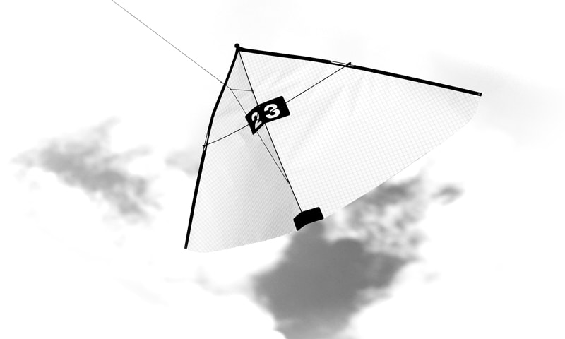 Kite in Icarex white-31.
