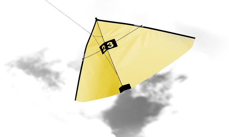 Kite in Icarex yellow-36.