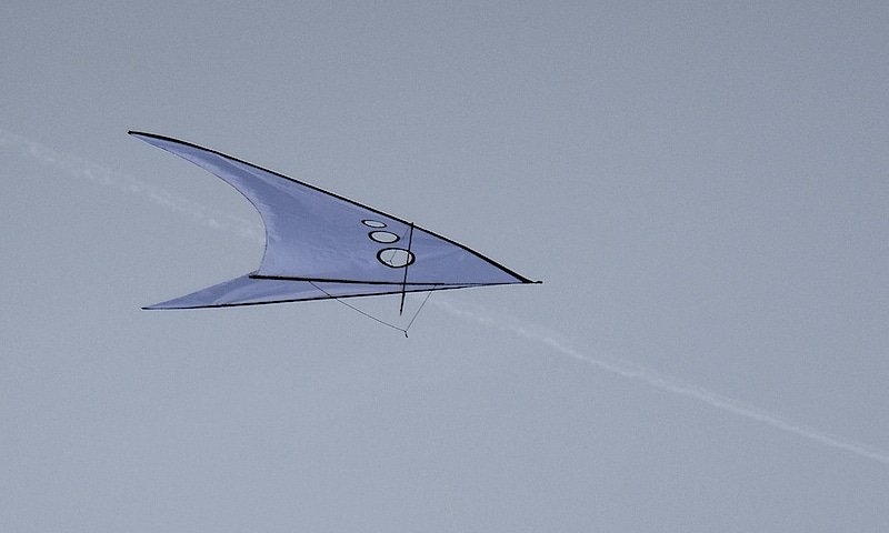 the kite in icarex blue 46 gliding on a light wind.