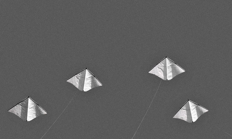 4 selfmade kites made of film and carbon.
