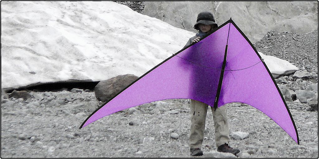 Large kite in magenta with kid.